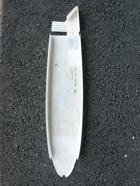 Middle fin rib 1.