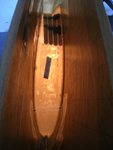 Middle fin rib 6.