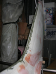 Spine of tail fin repair 2.