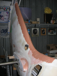 Spine of tail fin repair 3.