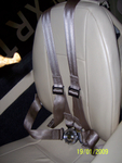 Europa_s_NOT_original_safety_belts_129