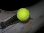 Tennis ball